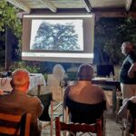 εικόνα_Viber_2025-08-04_14-23-42-605 - Αντιγραφή